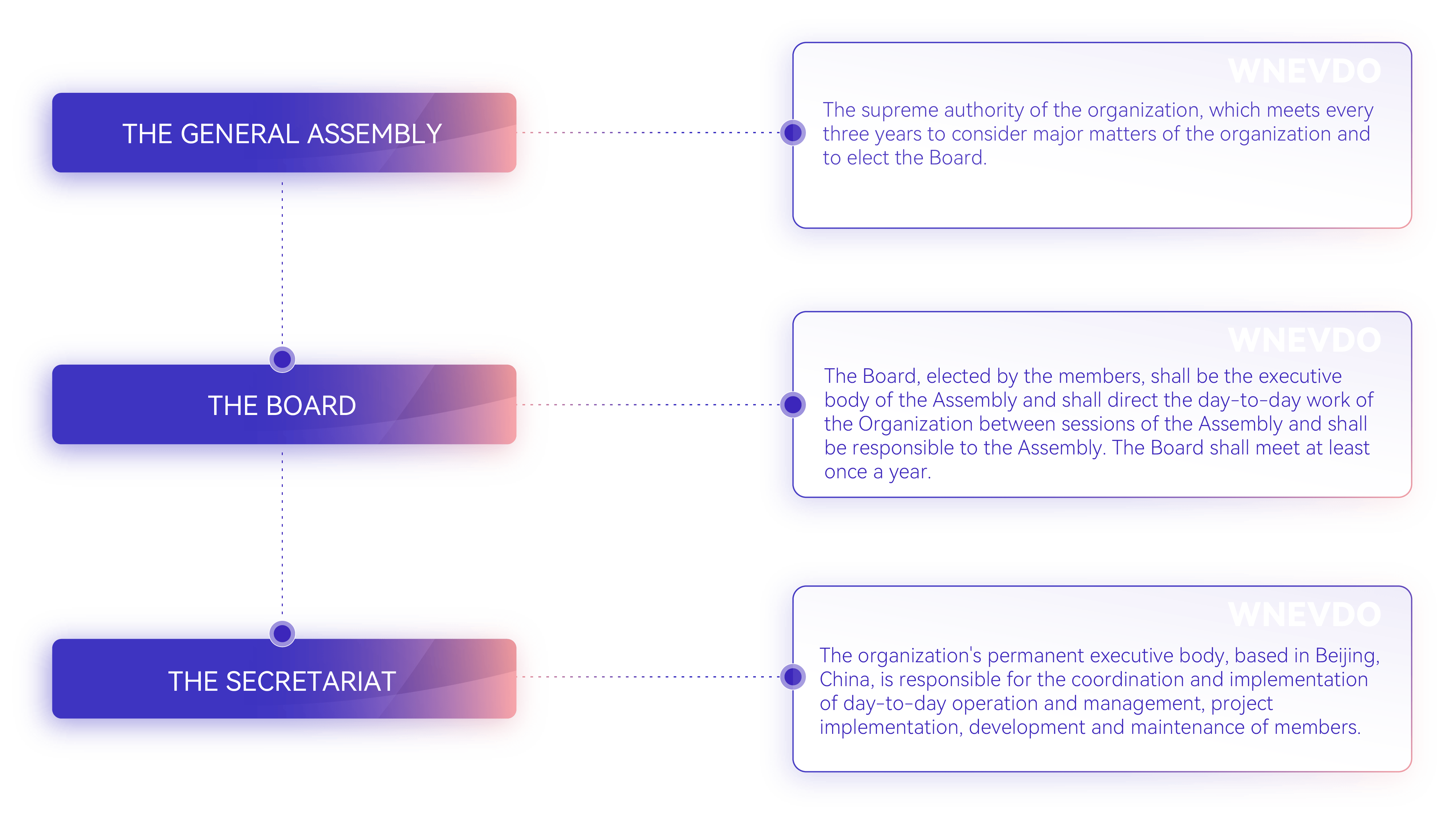 Organization Structure